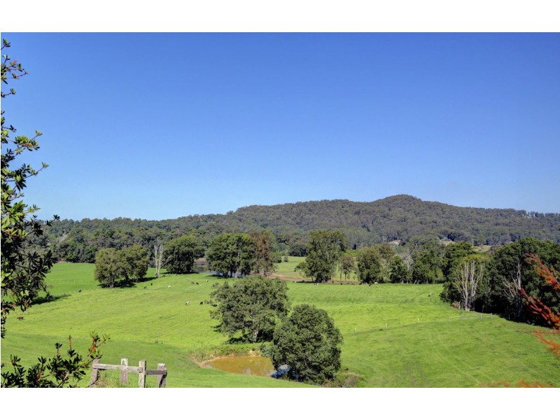 524 North Bank Road, Bellingen NSW 2454