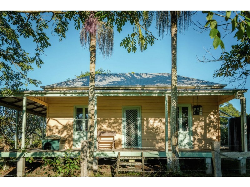 524 North Bank Road, Bellingen NSW 2454