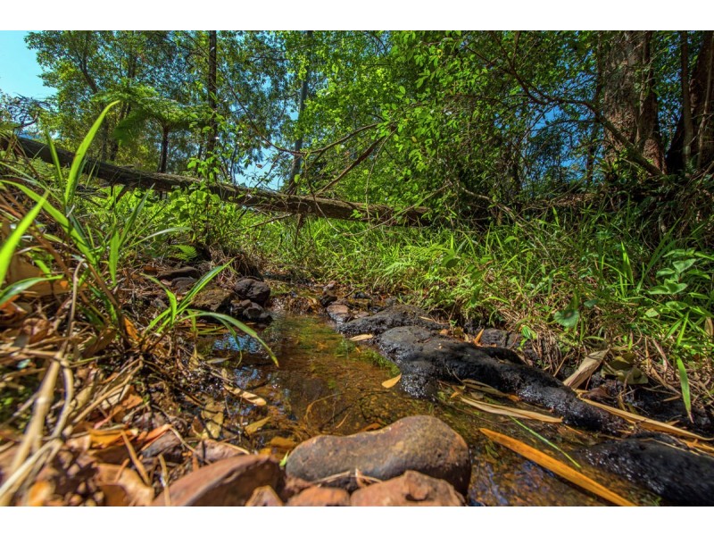 740 Summervilles Road, Bellingen NSW 2454