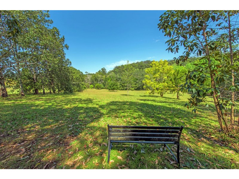 740 Summervilles Road, Bellingen NSW 2454