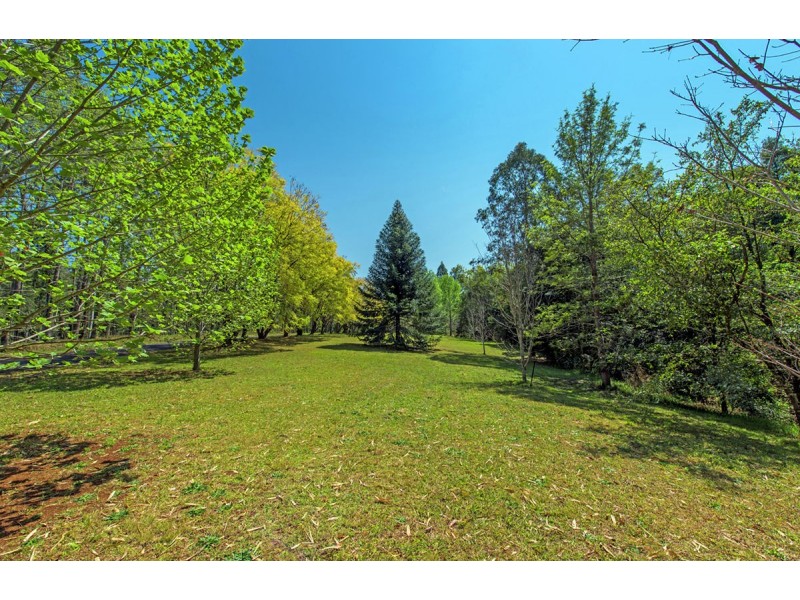 740 Summervilles Road, Bellingen NSW 2454