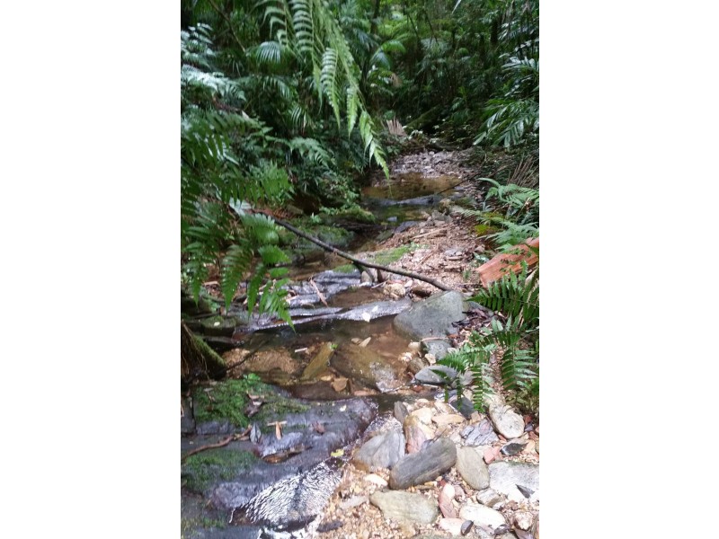 1411 Kalang Road, Bellingen NSW 2454