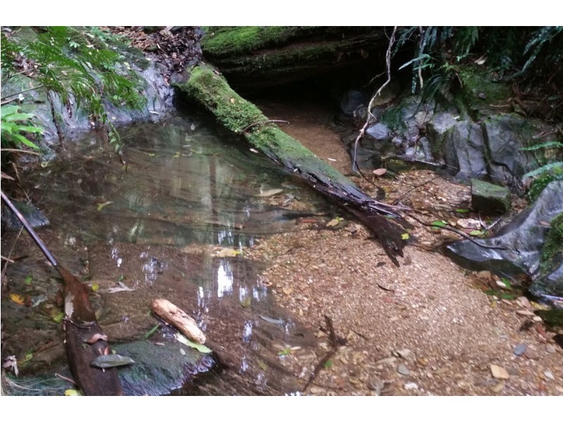 1411 Kalang Road, Bellingen NSW 2454