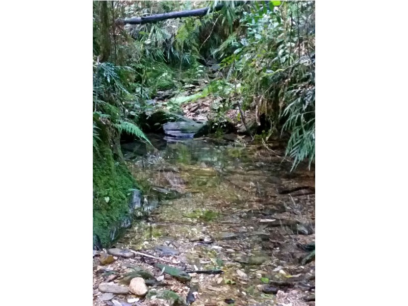 1411 Kalang Road, Bellingen NSW 2454