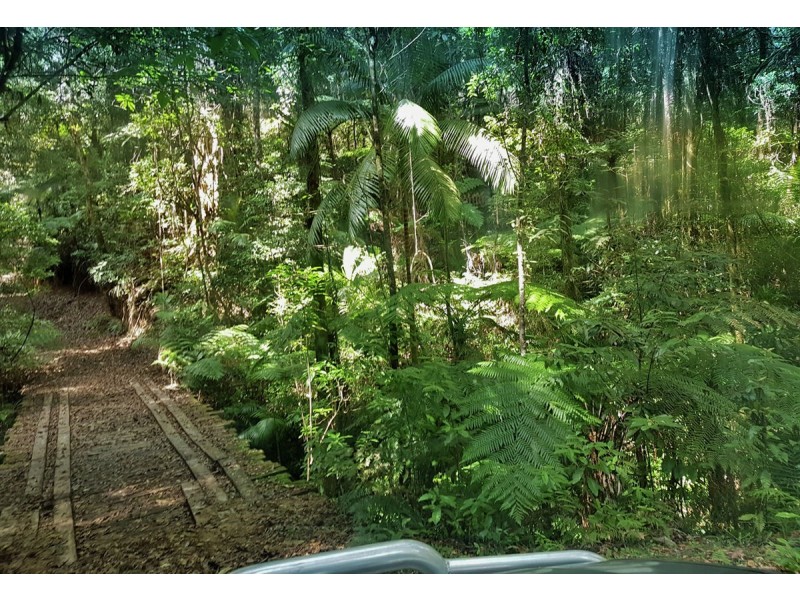 1411 Kalang Road, Bellingen NSW 2454