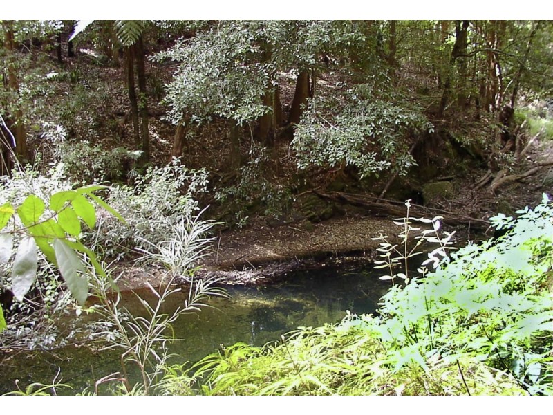 1411 Kalang Road, Bellingen NSW 2454