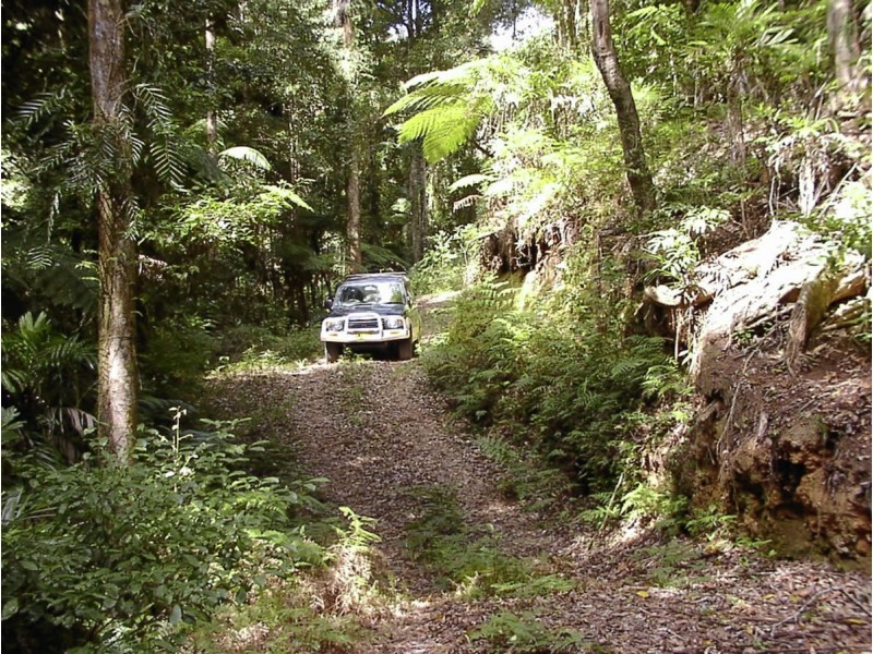 1411 Kalang Road, Bellingen NSW 2454