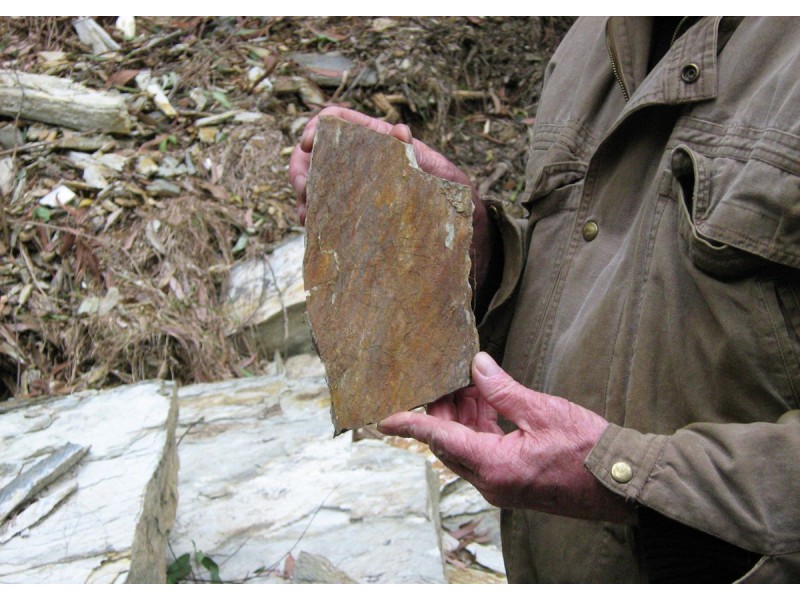 1411 Kalang Road, Bellingen NSW 2454