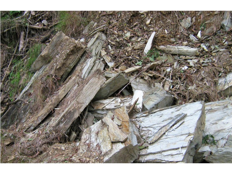 1411 Kalang Road, Bellingen NSW 2454