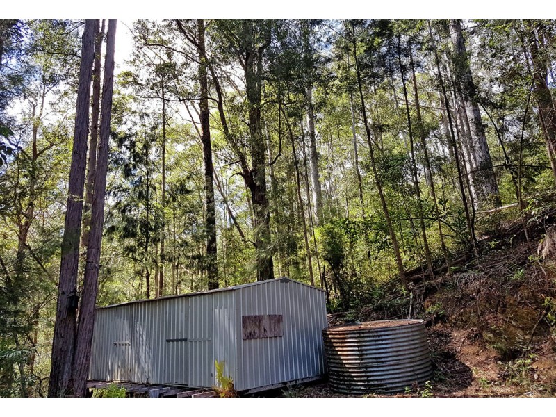 1411 Kalang Road, Bellingen NSW 2454