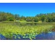 211 Ballards Road, Urunga NSW 2455
