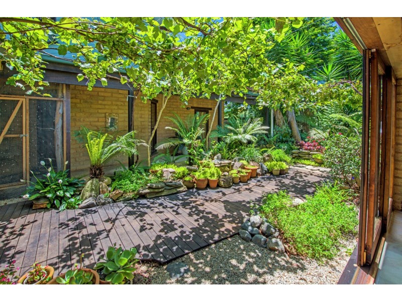 132 Kalang Road, Bellingen NSW 2454