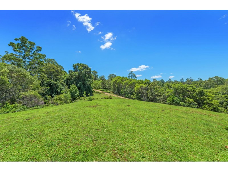 132 Kalang Road, Bellingen NSW 2454