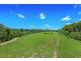 132 Kalang Road, Bellingen NSW 2454