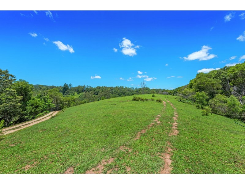 132 Kalang Road, Bellingen NSW 2454