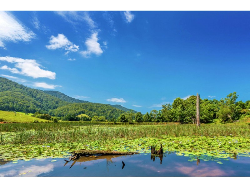 505e Crossmaglen Road, Bonville NSW 2441