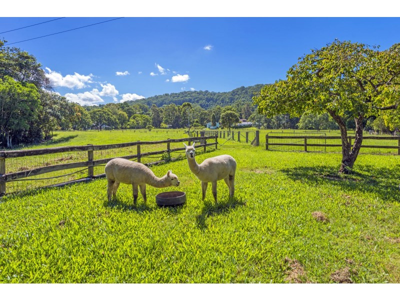 48 Rainford Drive, Boambee NSW 2450