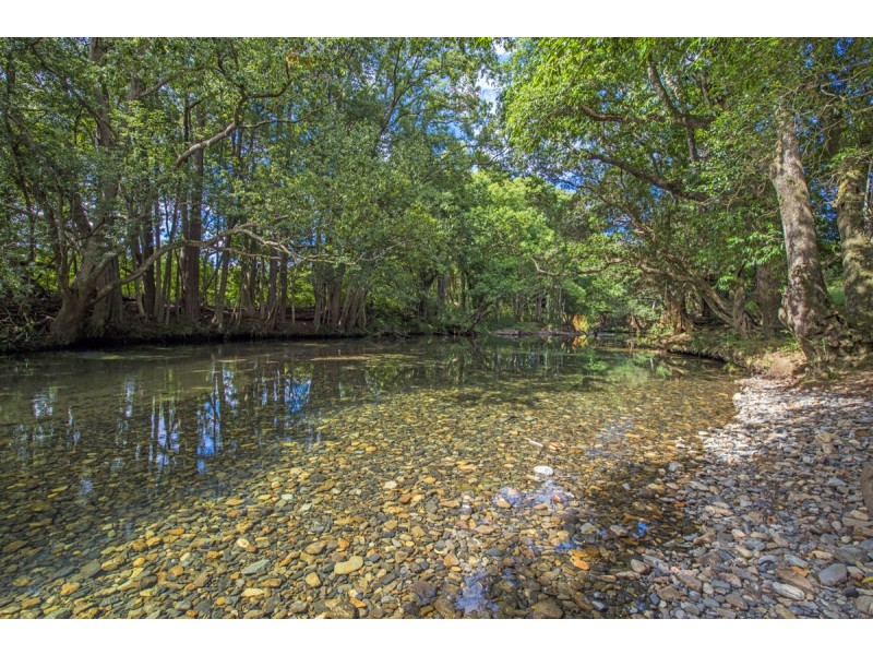 520 Roses Road, Gleniffer, Bellingen NSW 2454