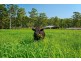 246 Ellems Quarry Road, Nana Glen NSW 2450