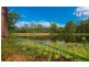 246 Ellems Quarry Road, Nana Glen NSW 2450
