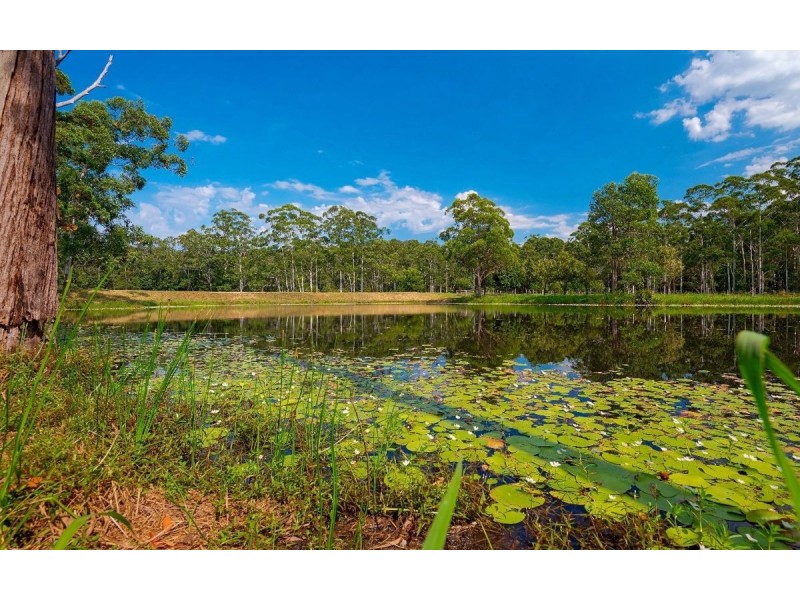 246 Ellems Quarry Road, Nana Glen NSW 2450