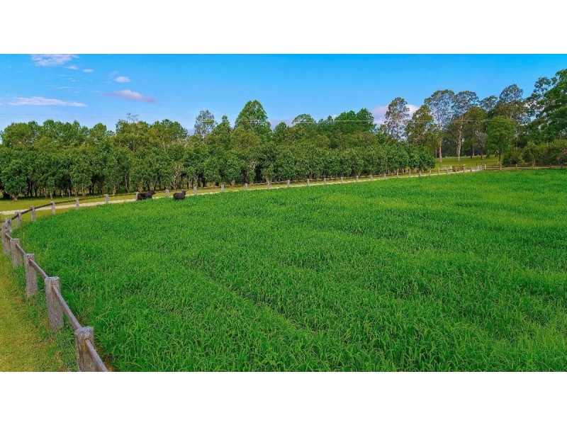 246 Ellems Quarry Road, Nana Glen NSW 2450