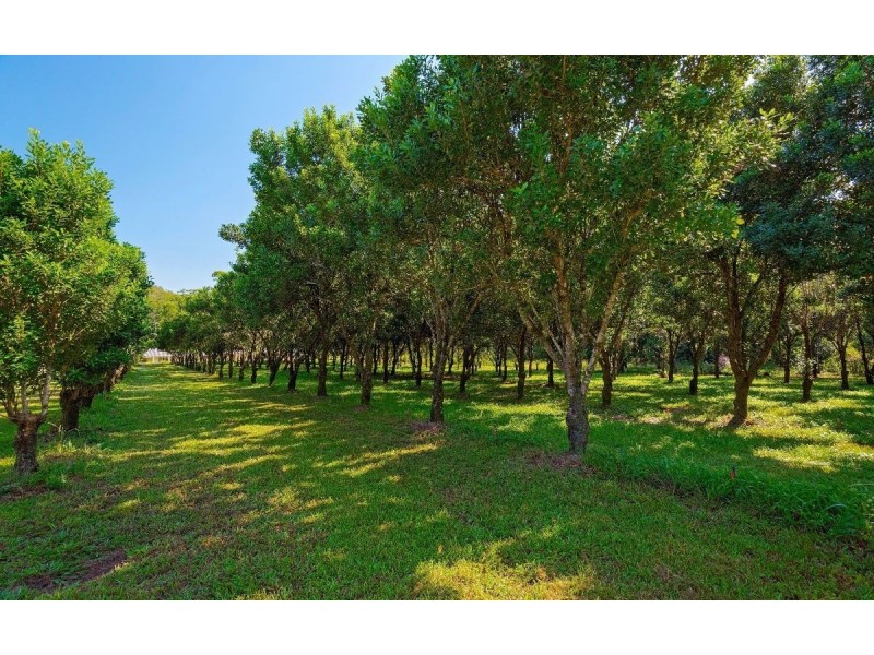 246 Ellems Quarry Road, Nana Glen NSW 2450