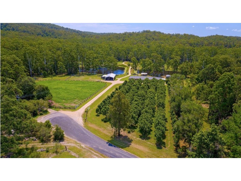 246 Ellems Quarry Road, Nana Glen NSW 2450