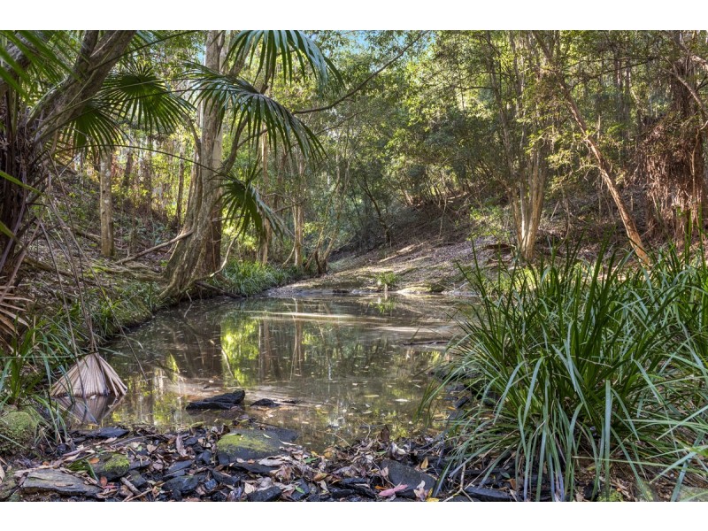 183 Soldier Settlers Road, Newee Creek, Nambucca Heads NSW 2448