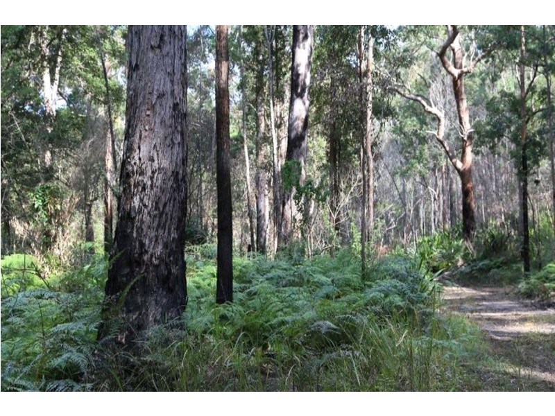 Glenreagh NSW 2450