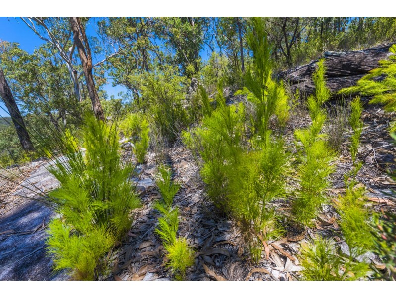 Glenreagh NSW 2450