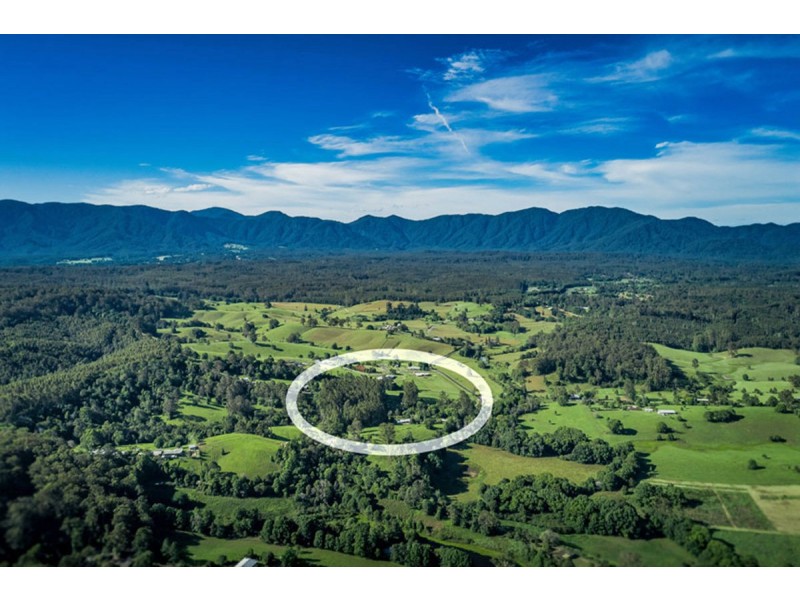 241 Hydes Creek Road, Bellingen NSW 2454