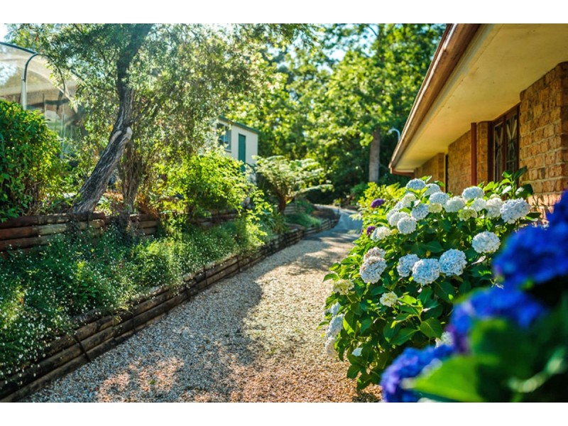 241 Hydes Creek Road, Bellingen NSW 2454