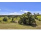 128 Hydes Creek Road, Bellingen NSW 2454