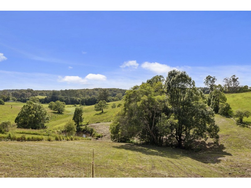 128 Hydes Creek Road, Bellingen NSW 2454