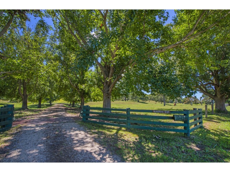 937 North Bank Road, Bellingen NSW 2454