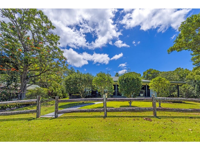937 North Bank Road, Bellingen NSW 2454