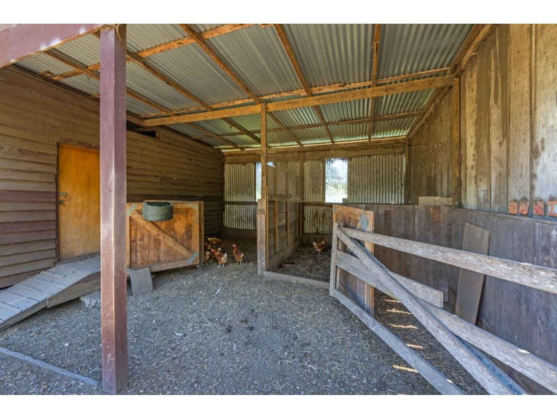 937 North Bank Road, Bellingen NSW 2454