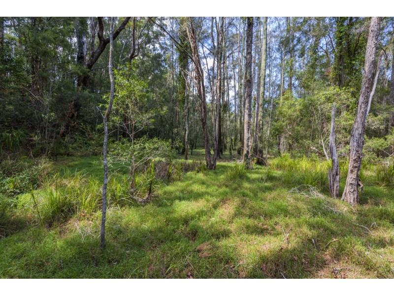 309 East Bonville Road, Bonville NSW 2441