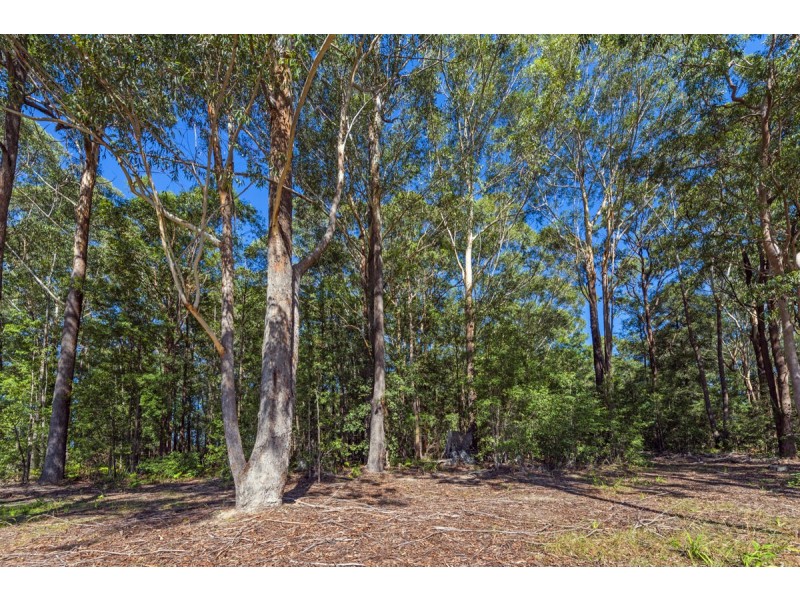 12 Kumbaingeri Close, Moonee Beach NSW 2450