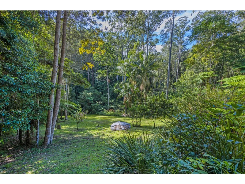 720 Kalang Road, Bellingen NSW 2454