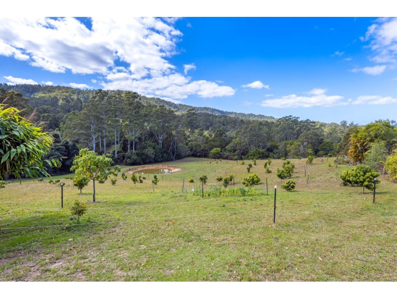 595 Bowraville Road, Bellingen NSW 2454