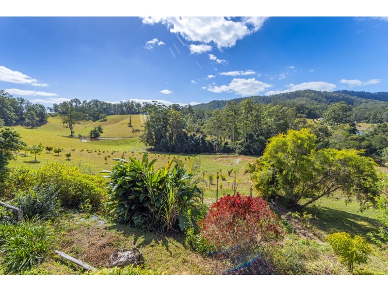 595 Bowraville Road, Bellingen NSW 2454