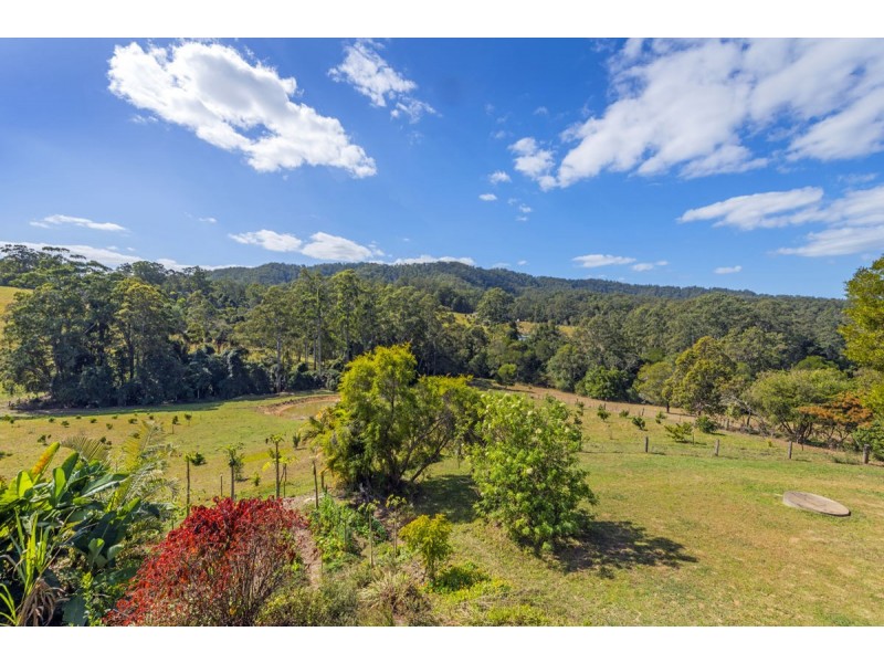 595 Bowraville Road, Bellingen NSW 2454