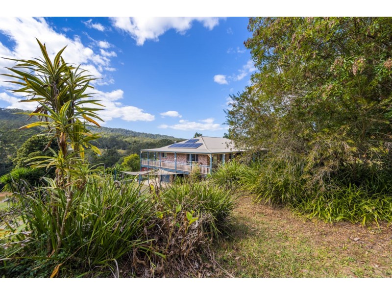 595 Bowraville Road, Bellingen NSW 2454