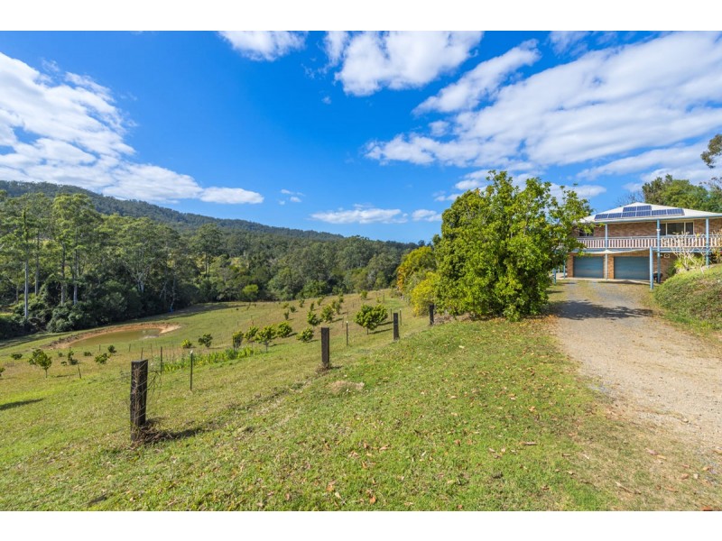 595 Bowraville Road, Bellingen NSW 2454