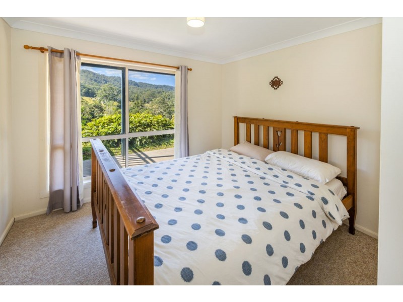 595 Bowraville Road, Bellingen NSW 2454