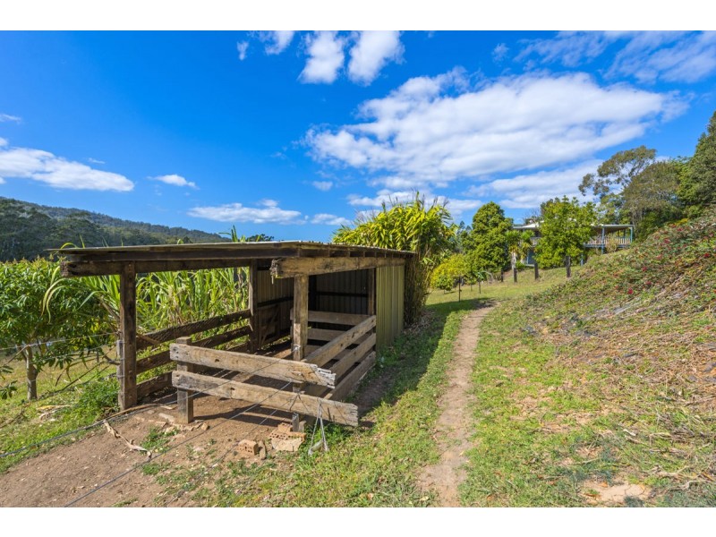 595 Bowraville Road, Bellingen NSW 2454