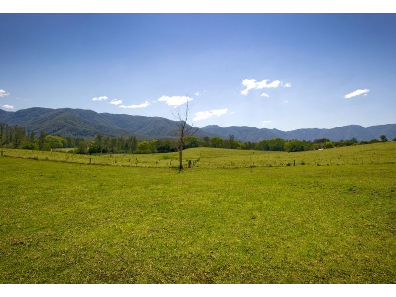 48 John Locke Place, Bellingen NSW 2454