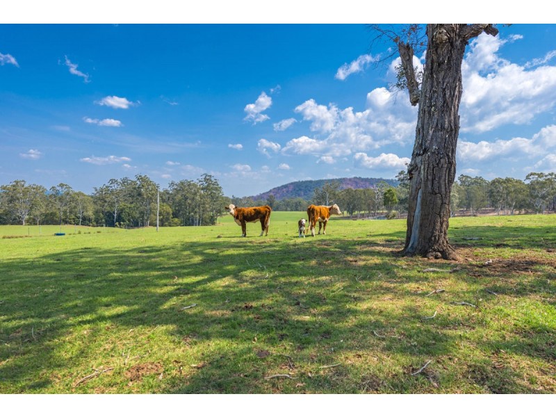 696 Kungala Road, Kungala NSW 2460